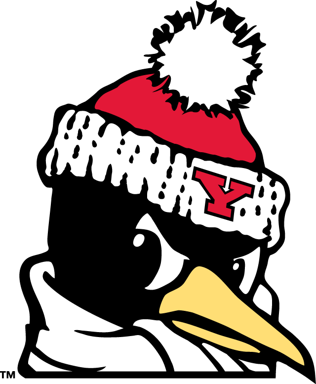 Youngstown State Penguins 1993-Pres Alternate Logo v9 iron on transfers for clothing
